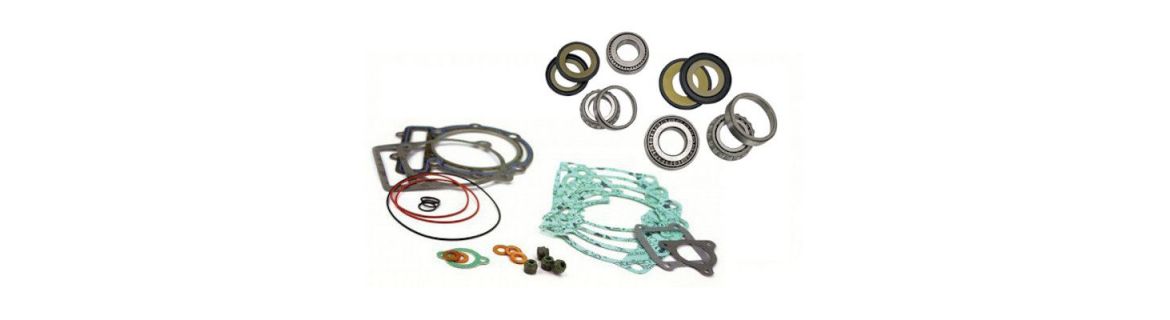 Vendita Guarnizioni, cuscinetti, calotte per BMW R NINE T 1200