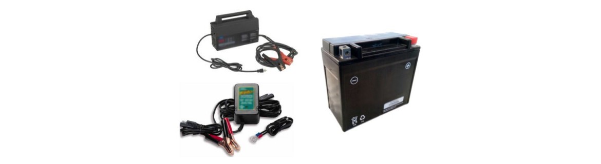 BATTERIE E ACCESSORI PER SUZUKI GW 250 / INAZUMA