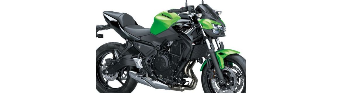 Vendita Carene e accessori per Kawasaki Z 650