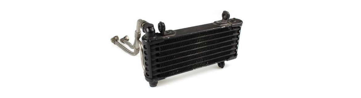 Vendita Accessori Ricambi Radiatore per Aprilia TUONO 1100 V4 2015/26