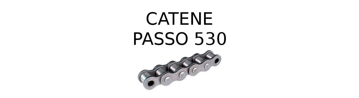 CATENE PASSO 530