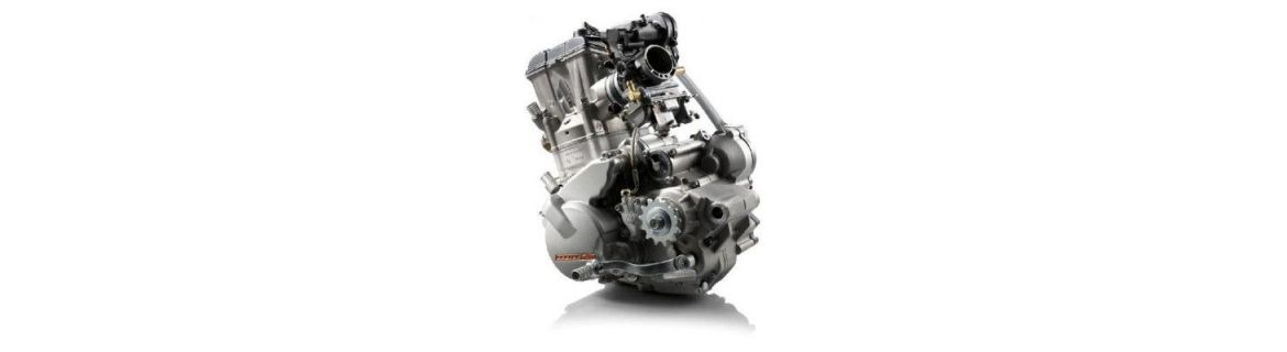 Vendita accessori e ricambi Motore per Yamaha YZF-R1 / R1M  2015/19