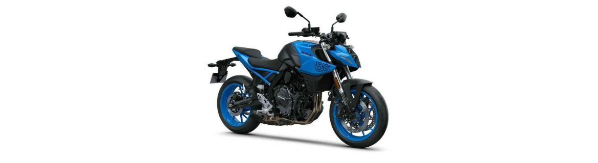 Vendita Accessori e Ricambi per SUZUKI GSX-8S