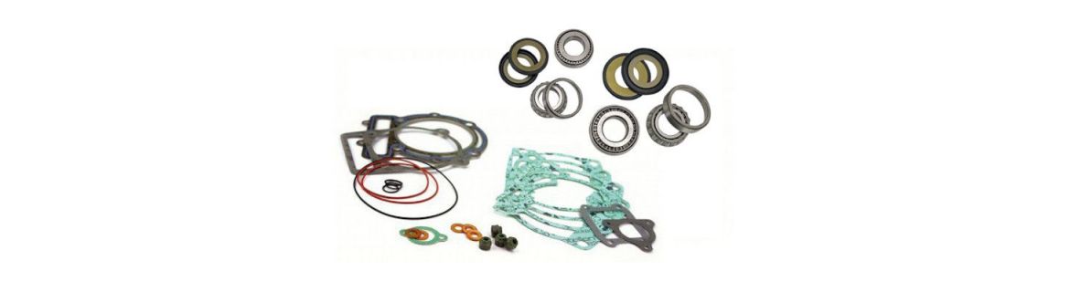 Cuscinetti e guarnizioni per Aprilia Tuareg 660 21 - 26 | Forevermoto