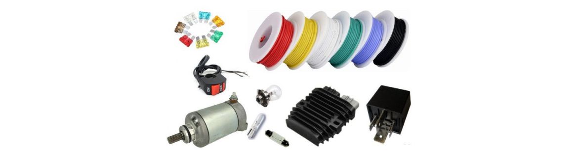 Vendita Ricambi elettricI per Ducati DESERT X 937