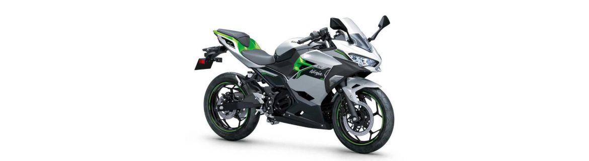 Vendita Accessori e Ricambi per KAWASAKI NINJA e-1 2024 / 2025