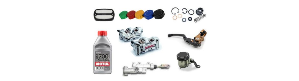 Vendita ricambi impianto frenante per Triumph SPEED TRIPLE 1200 RR