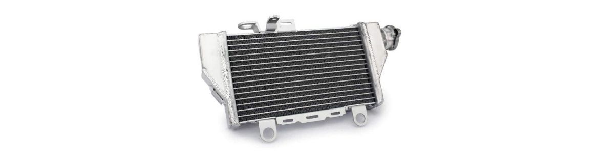 Vendita Ricambi Radiatore e antigelo per BMW R 1300 GS ADVENTURE