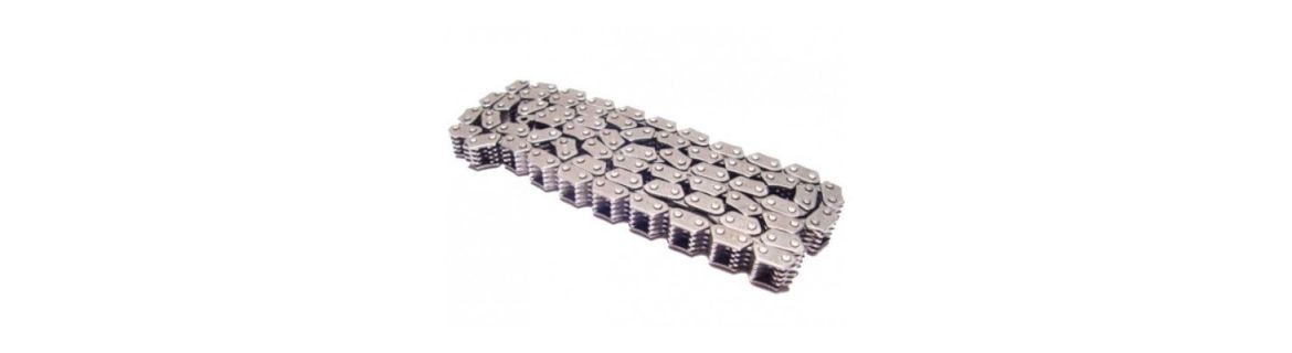 CATENA DI DISTRIBUZIONE