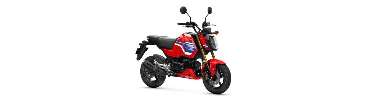Ricambi e Accessori Honda MSX 125 / Grom 2013 - 2026 | Forevermoto