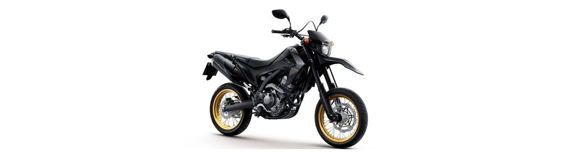 Ricambi e Accessori CRF 250 L / M / RALLY 2012 – 2020 | Forevermoto