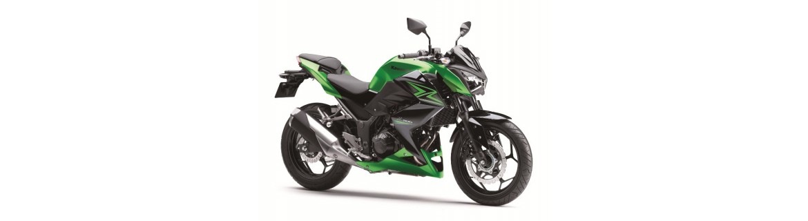 Z 300 2015 / 2016