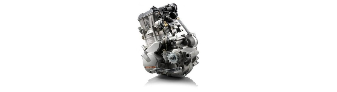 Componenti Motore Aprilia SX 50 / 125 2006 - 2026 | Forevermoto